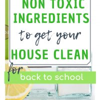 non toxic ingredients to clean your house