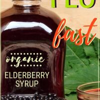 homemade elderberry syrup
