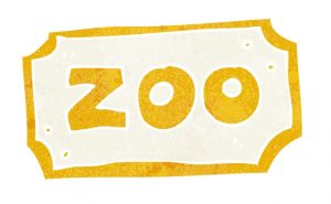 non party birthday ideas: go to the zoo