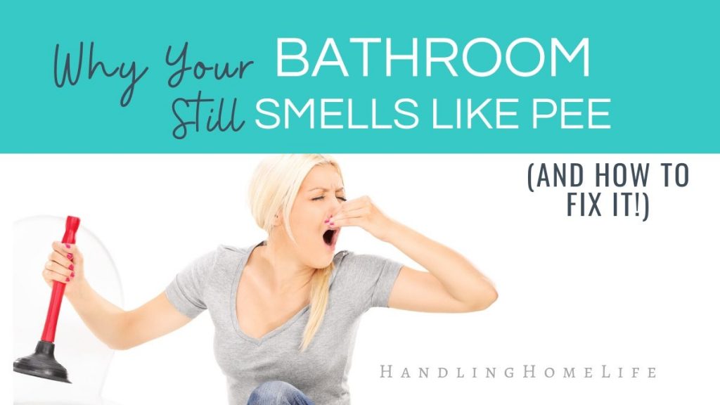 how to clean your bathroom to remove the urine smell