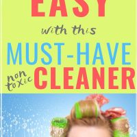 best household cleaners